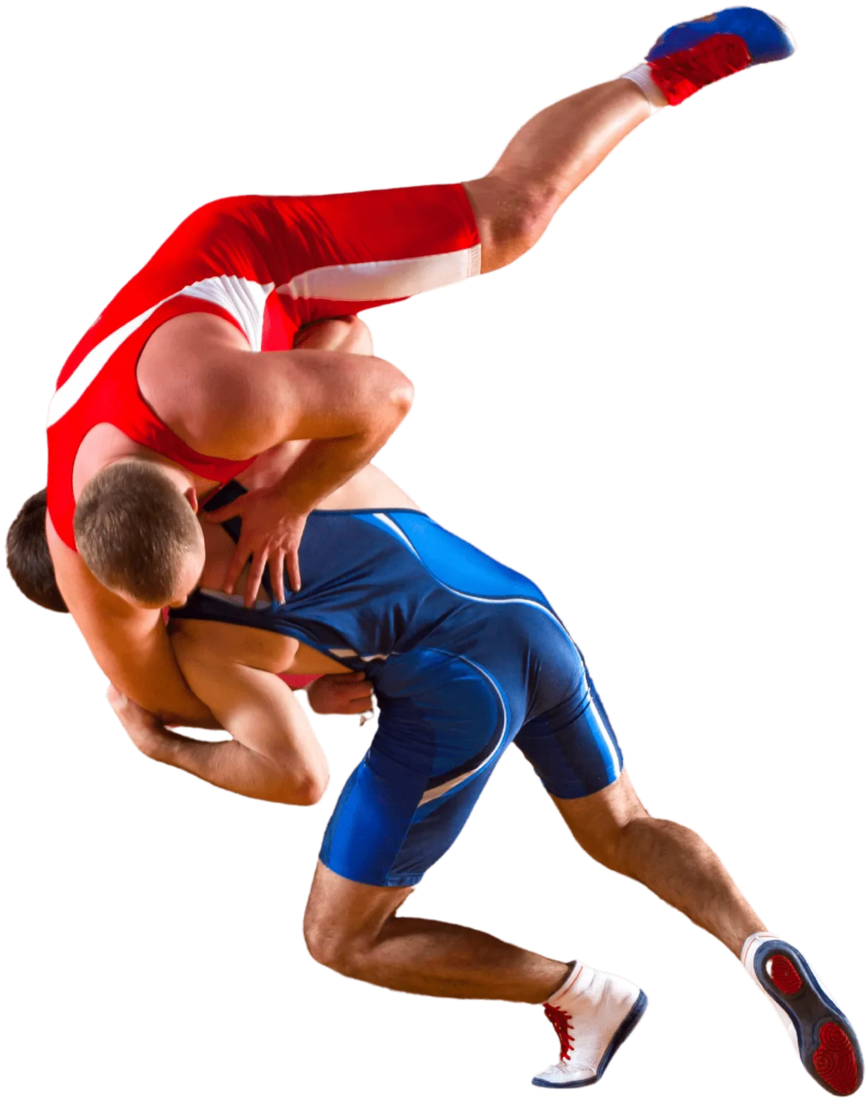 Adult Wrestling class